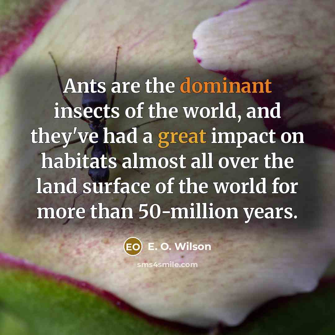 “Ants are the dominant insects of the world, and they've…” quote by E. O. Wilson