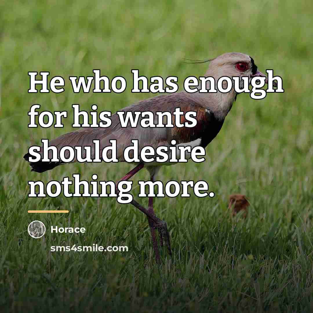 “He who has enough for his wants should desire nothing…” quote by Horace
