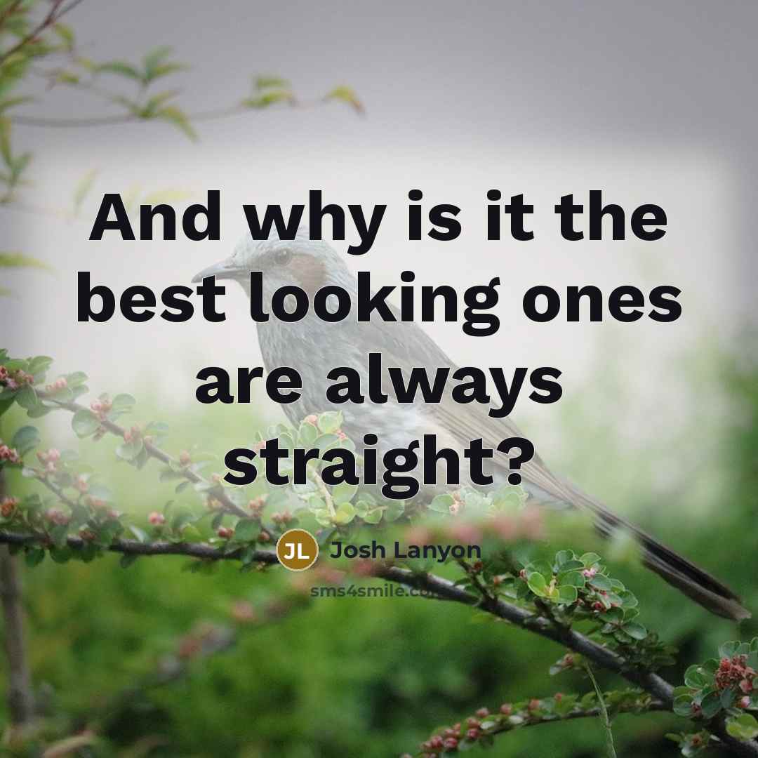 “And why is it the best looking ones are always straight?” quote by Josh Lanyon