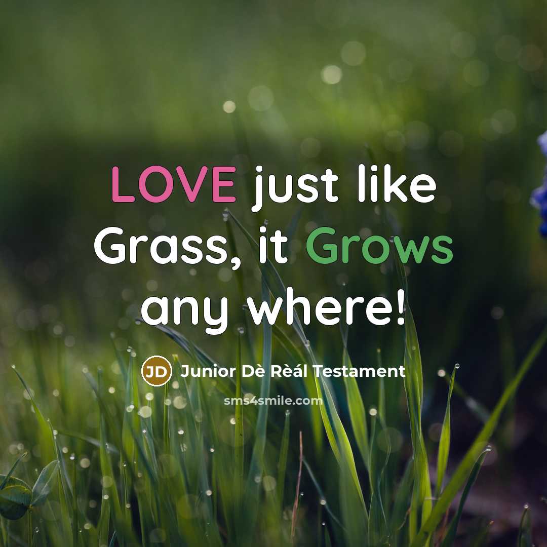 “LOVE just like Grass, it Grows any where!” quote by Junior Dè Rèál Testament