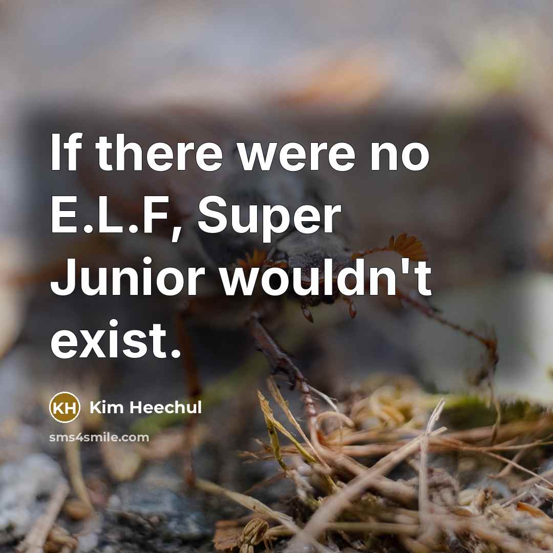 “If there were no E.L.F, Super Junior wouldn't exist.…” quote by Kim Heechul