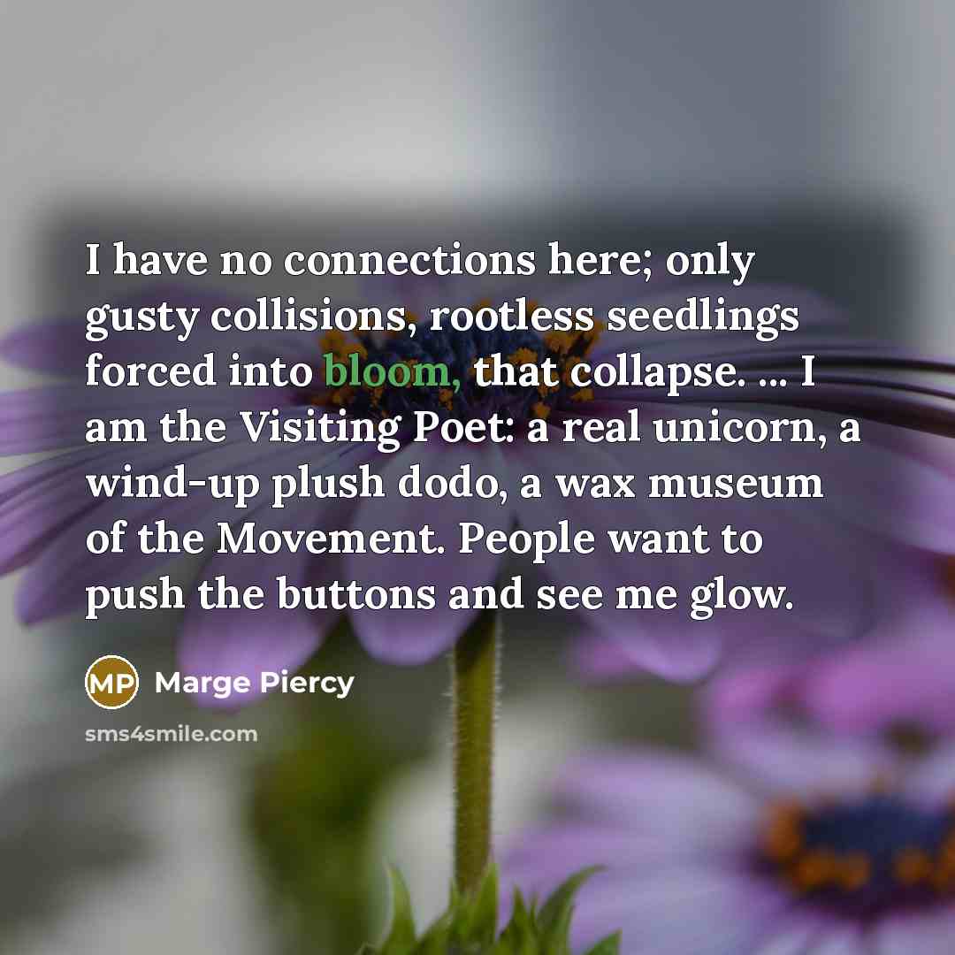 “I have no connections here; only gusty collisions, rootless seedlings…” quote by Marge Piercy