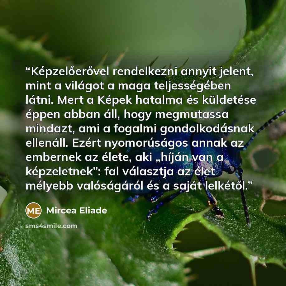 “Képzelőerővel rendelkezni annyit jelent, mint a világot a maga teljességében látni. Mert a Képek hatalma és küldetése éppen abban áll, hogy megmutassa mindazt, ami a fogalmi gondolkodásnak ellenáll. Ezért nyomorúságos annak az embernek az élete, aki „híján van a képzeletnek”: fal választja az élet…” quote by Mircea Eliade