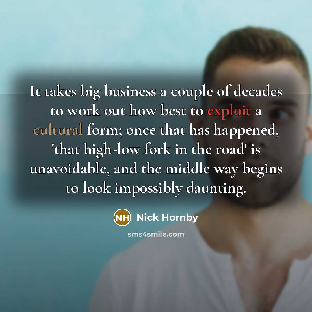 “It takes big business a couple of decades to work…” quote by Nick Hornby