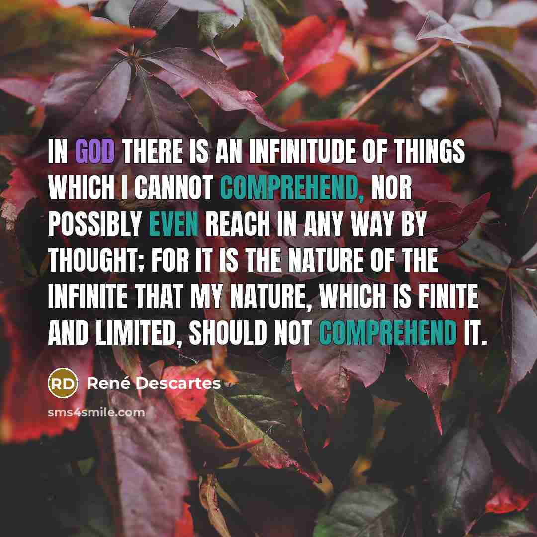 “In God there is an infinitude of things which I…” quote by Rene Descartes