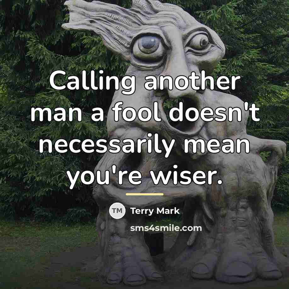 “Calling another man a fool doesn't necessarily mean you're wiser.…” quote by Terry Mark