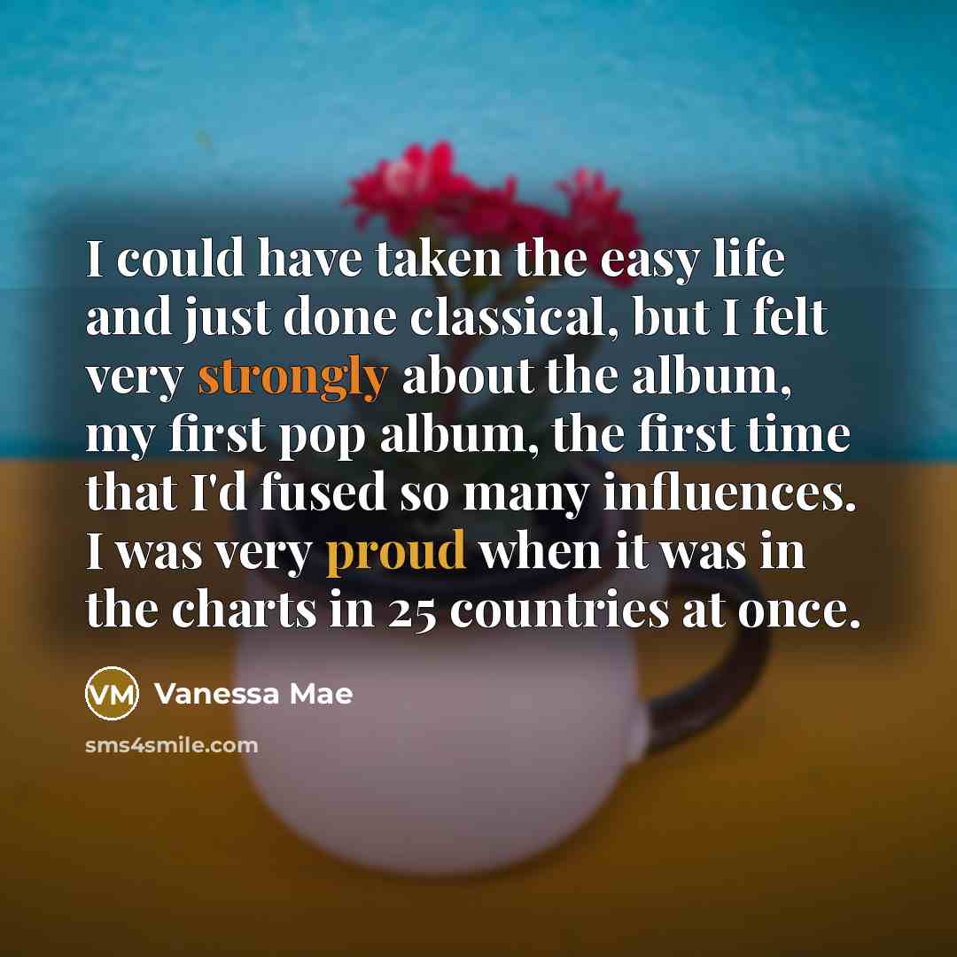 “I could have taken the easy life and just done…” quote by Vanessa Mae