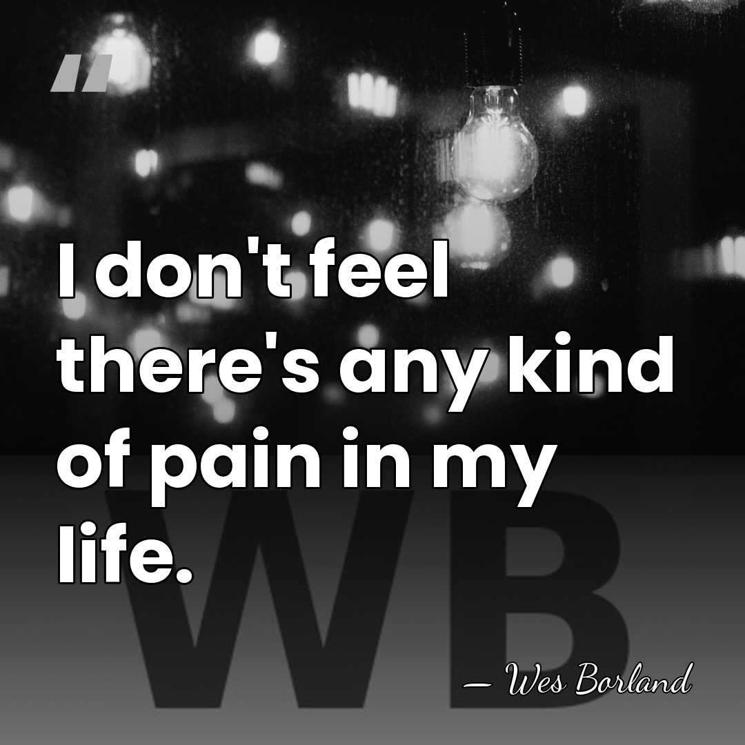I don't feel there's any kind of pain in my life. - Wes Borland