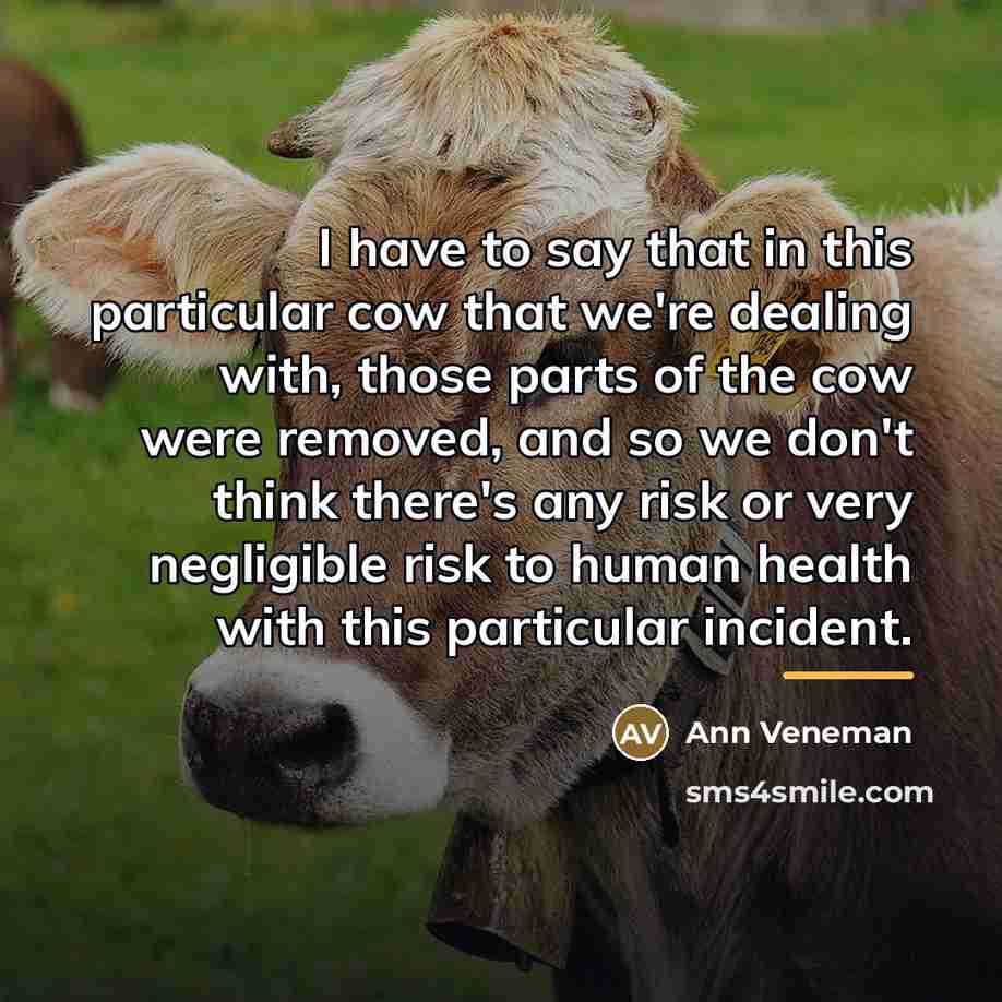 “I have to say that in this particular cow that…” quote by Ann Veneman