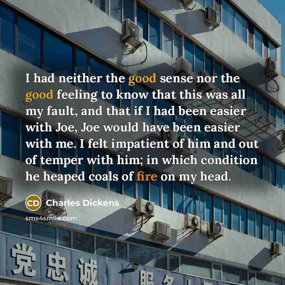 “I had neither the good sense nor the good feeling…” quote by Charles Dickens
