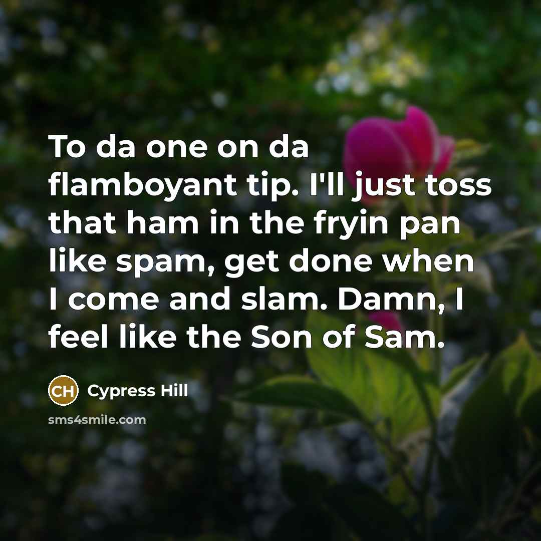 “To da one on da flamboyant tip. I'll just toss that ham in the fryin pan like spam, get done when I come and slam. Damn, I feel like the Son of Sam.” quote by Cypress Hill