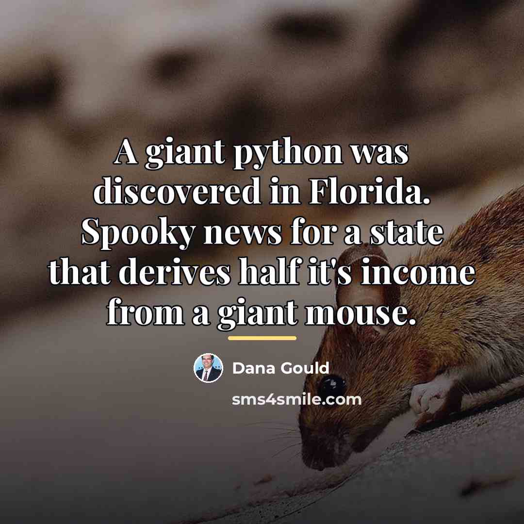 “A giant python was discovered in Florida. Spooky news for…” quote by Dana Gould