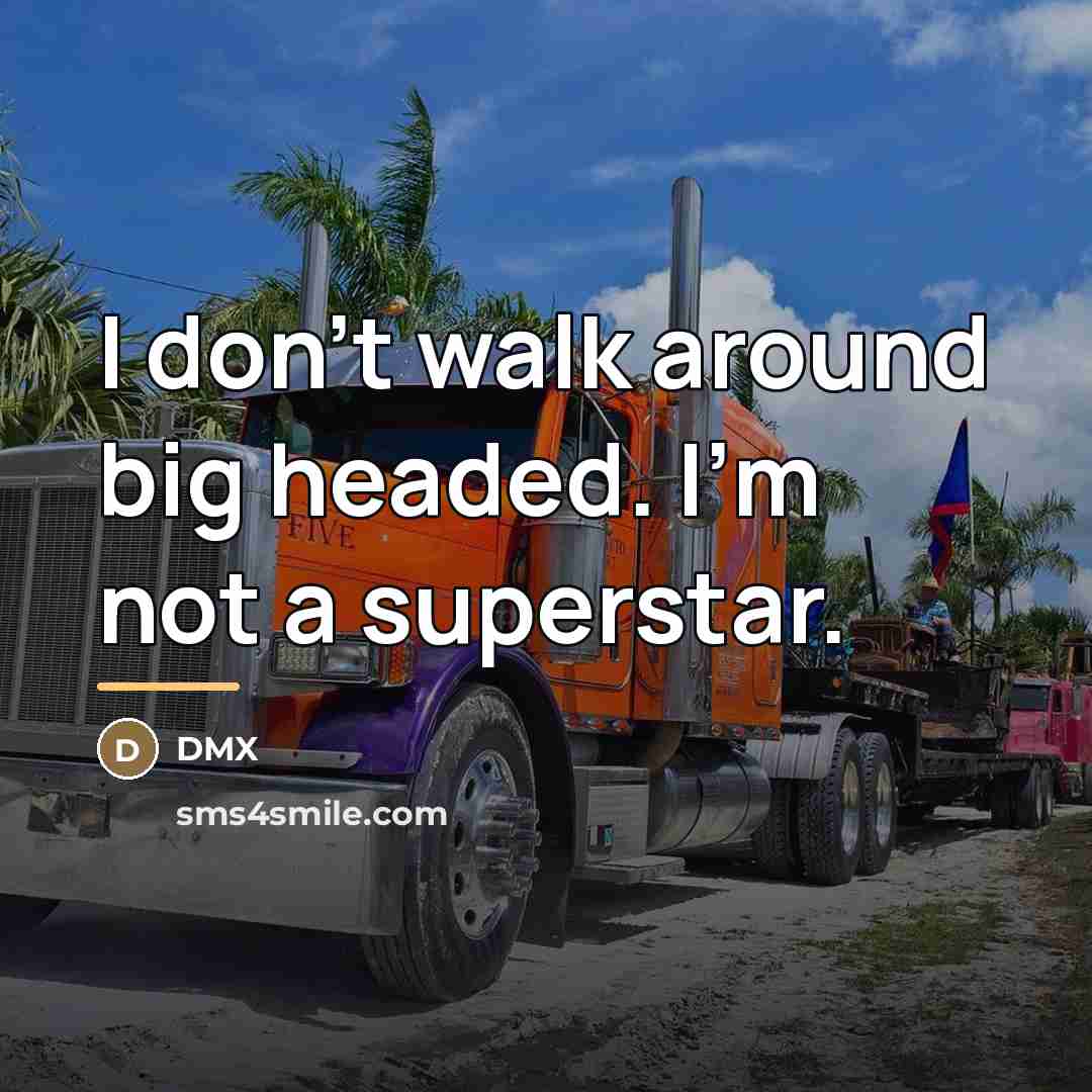 “I don't walk around big headed. I'm not a superstar.…” quote by DMX