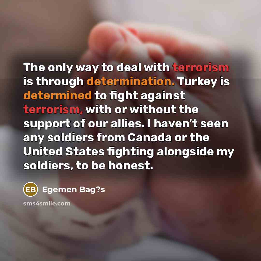 “The only way to deal with terrorism is through determination.…” quote by Egemen Bag?s