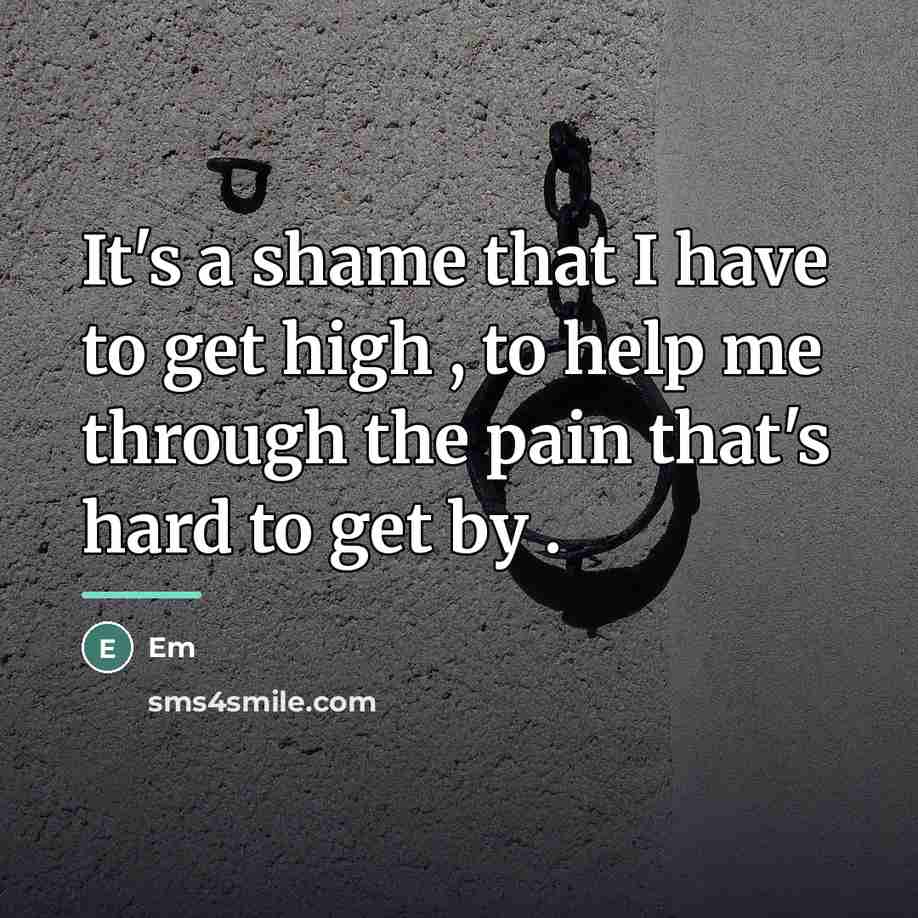 “It's a shame that I have to get high ,…” quote by EM