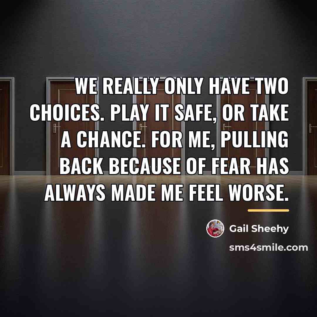 “We really only have two choices. Play it safe, or…” quote by Gail Sheehy