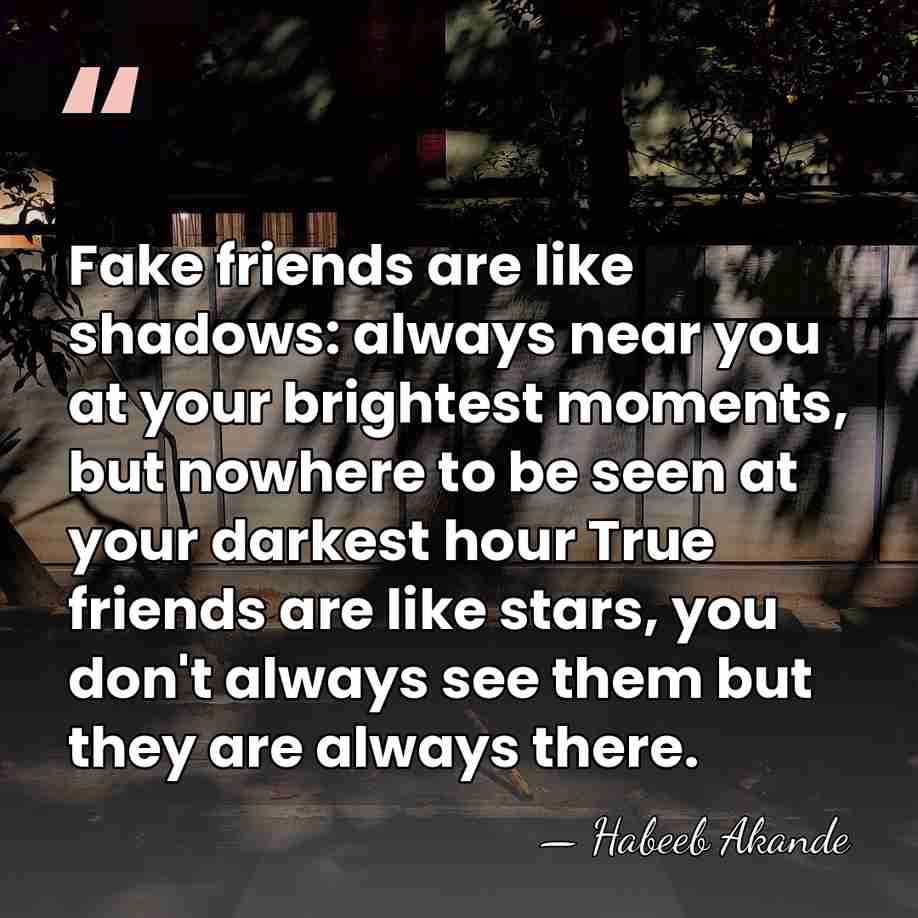 Fake friends are like shadows: always near you at your brightest moments,&hellip; - Habeeb Akande