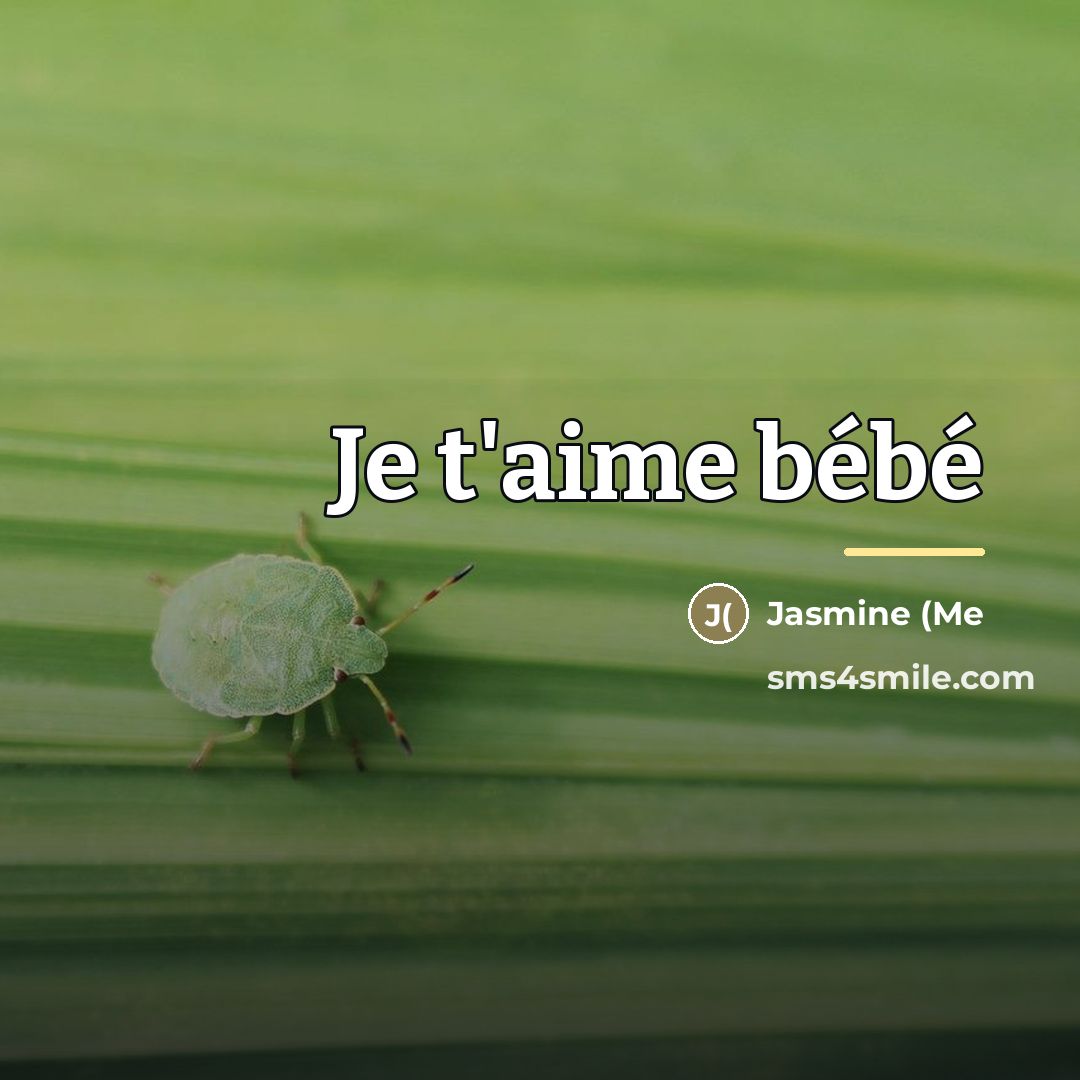 “Je t'aime bébé…” quote by Jasmine (me