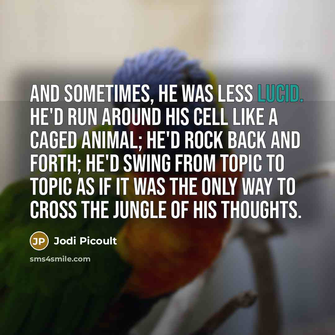 “And sometimes, he was less lucid. He'd run around his…” quote by Jodi Picoult