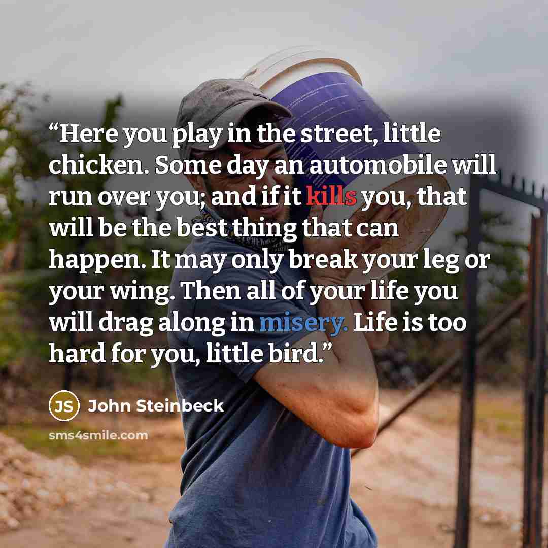 “Here you play in the street, little chicken. Some day an automobile will run over you; and if it kills you, that will be the best thing that can happen. It may only break your leg or your wing. Then all of your life you will drag along in misery. Life is too hard for you, little bird.” quote by John Steinbeck