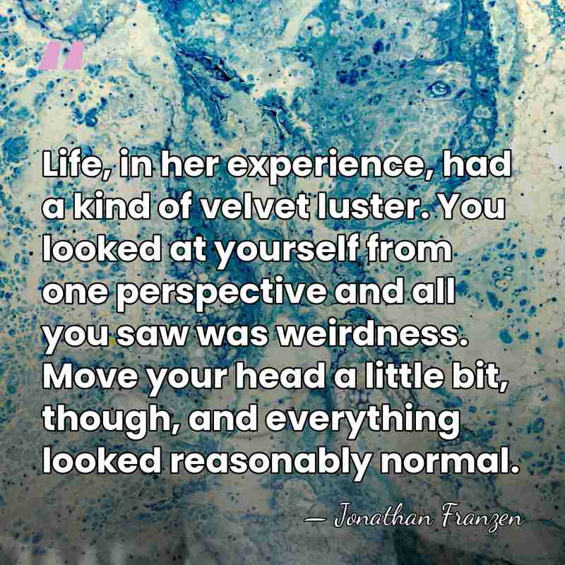 Life, in her experience, had a kind of velvet luster. You looked&hellip; - Jonathan Franzen