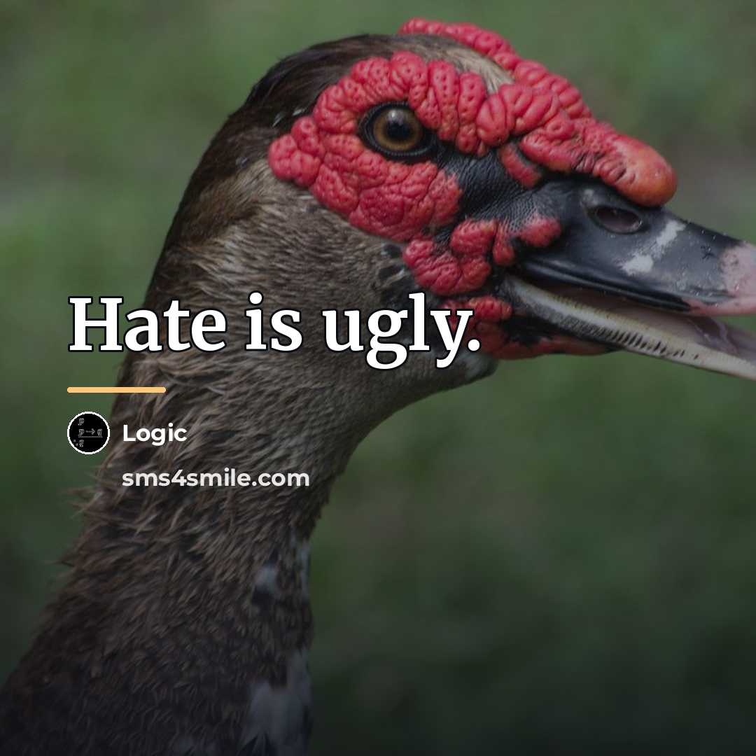 “Hate is ugly.…” quote by Logic