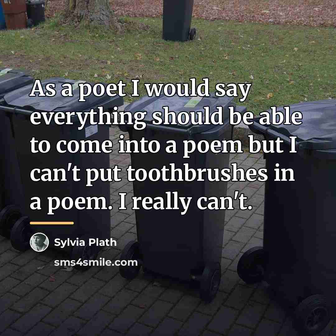 “As a poet I would say everything should be able…” quote by Sylvia Plath