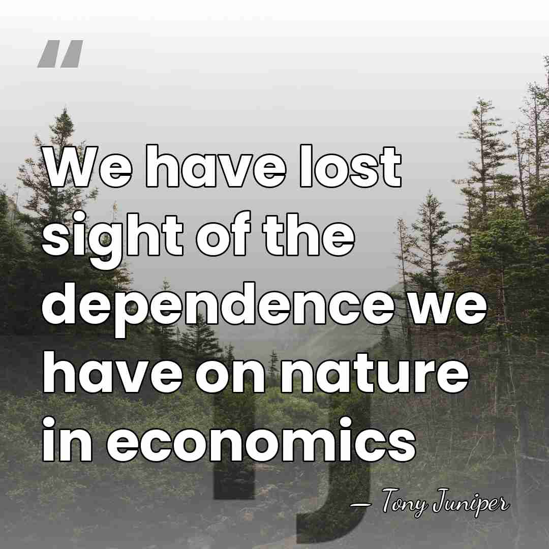We have lost sight of the dependence we have on nature in&hellip; - Tony Juniper