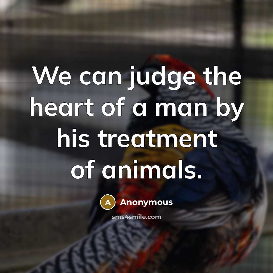 “We can judge the heart of a man by his…” quote by Anonymous