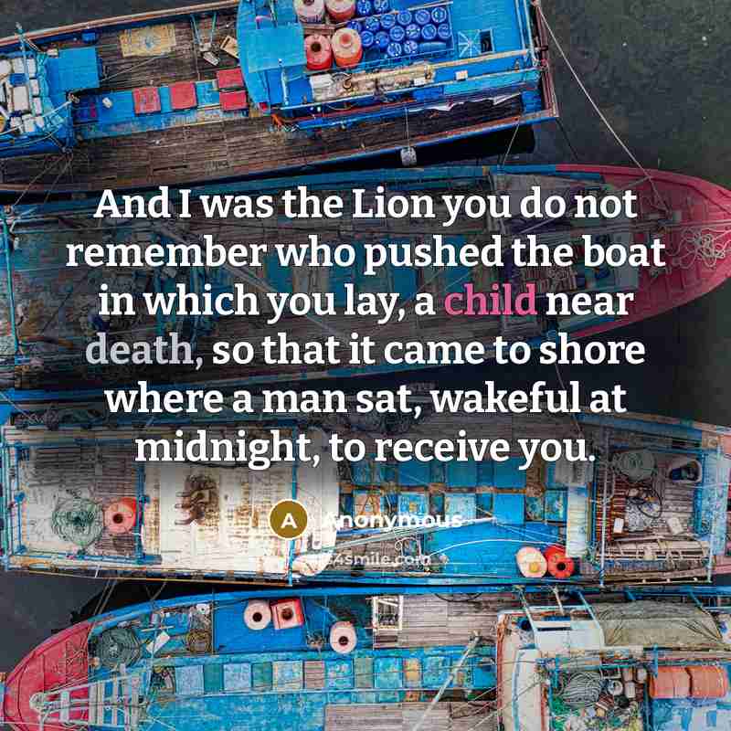 “And I was the Lion you do not remember who…” quote by Anonymous
