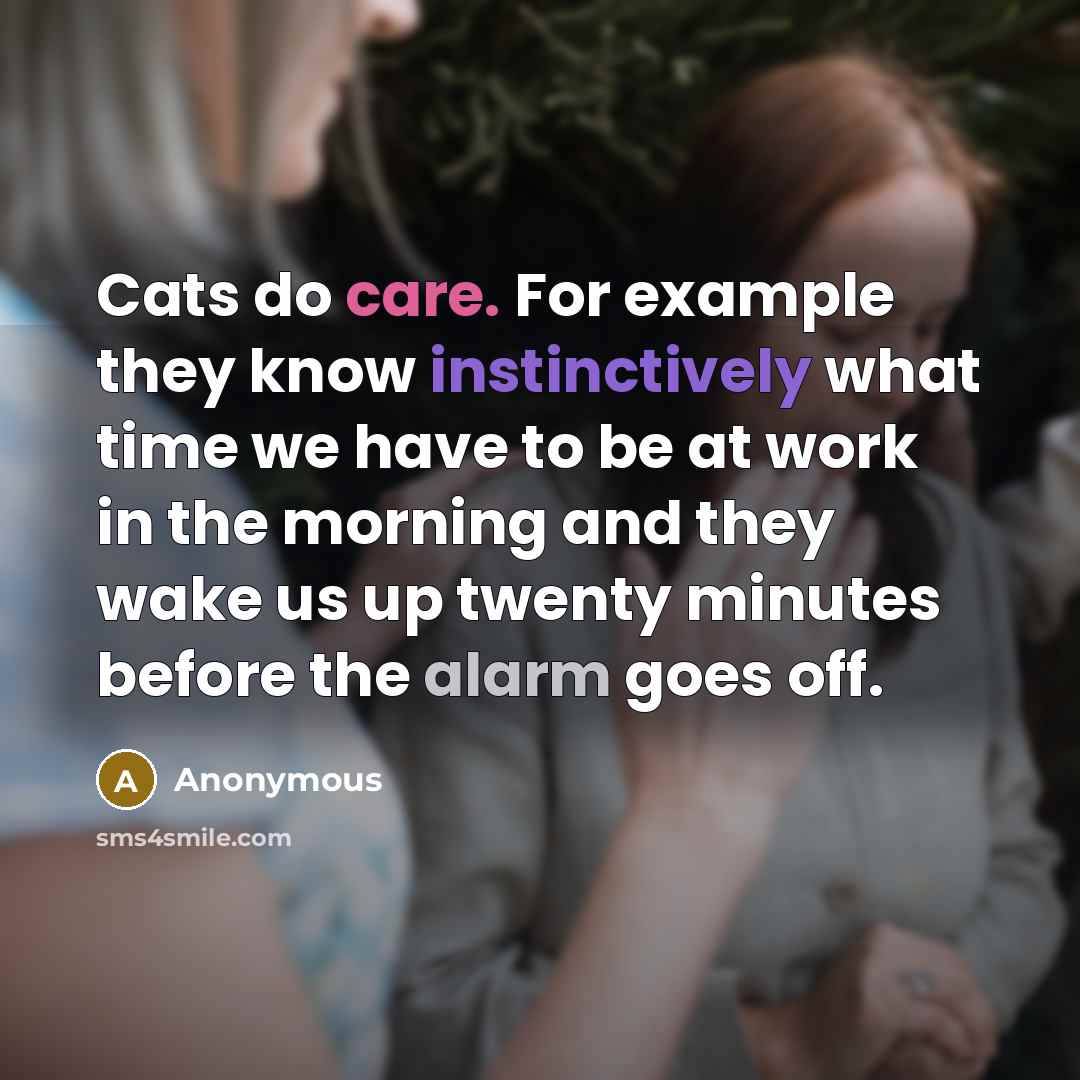 “Cats do care. For example they know instinctively what time we have to be at work in the morning and they wake us up twenty minutes before the alarm goes off.” quote by Anonymous