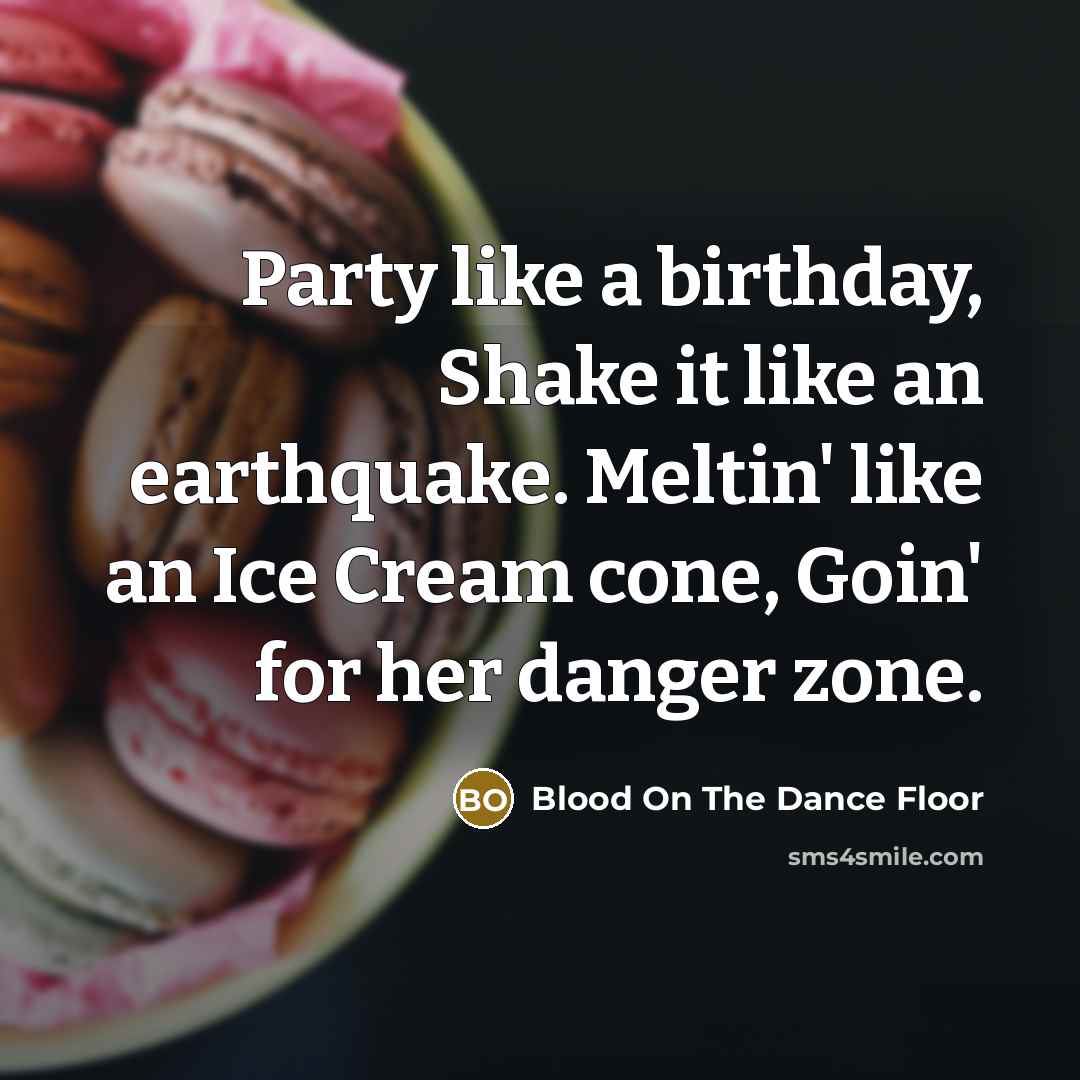 “Party like a birthday, Shake it like an earthquake. Meltin'…” quote by Blood On The Dance Floor