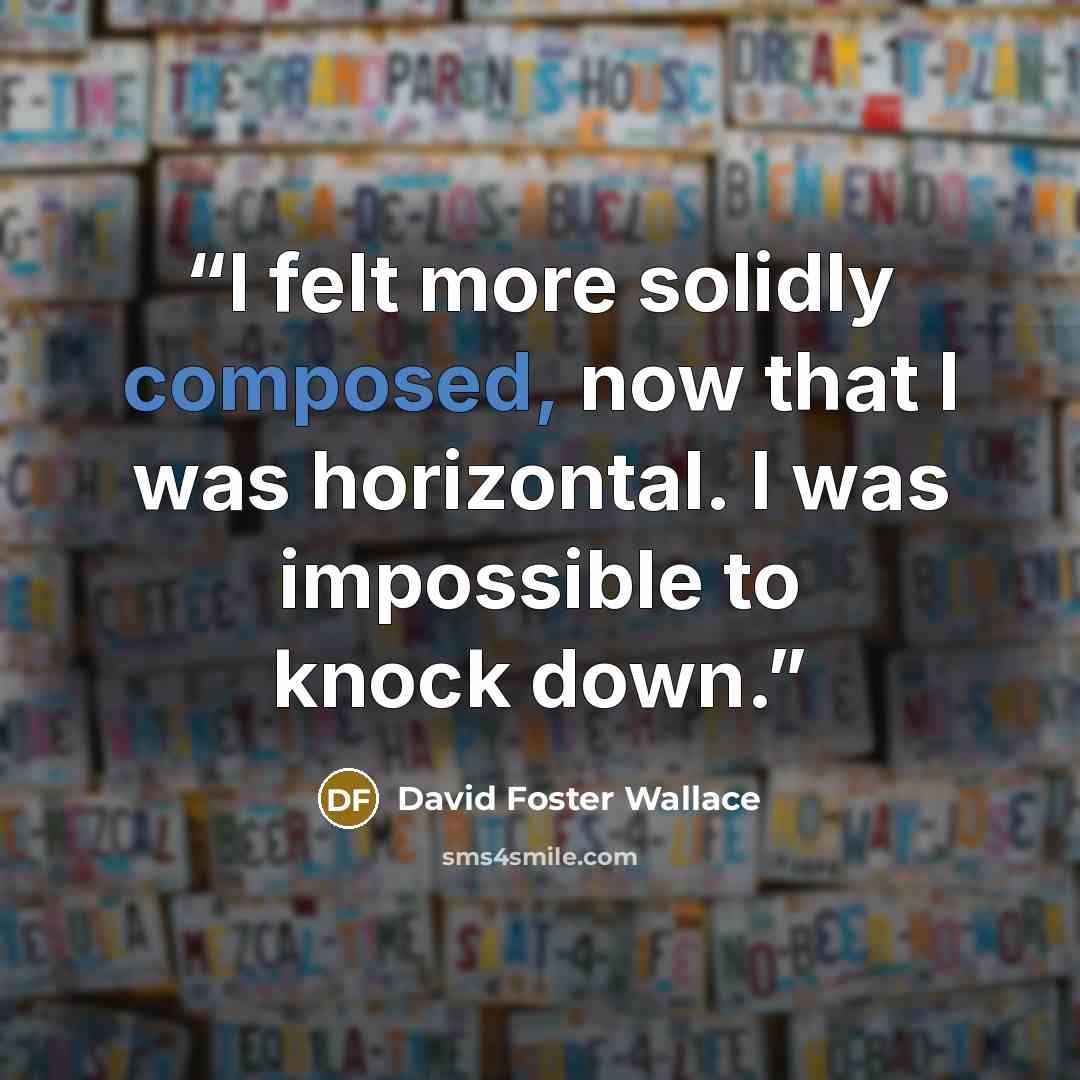 “I felt more solidly composed, now that I was horizontal. I was impossible to knock down.” quote by David Foster Wallace