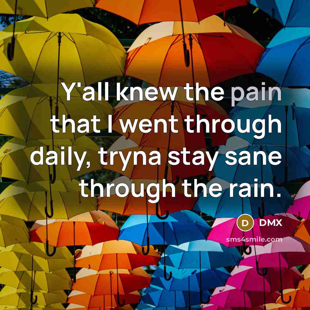 “Y'all knew the pain that I went through daily, tryna…” quote by Dmx