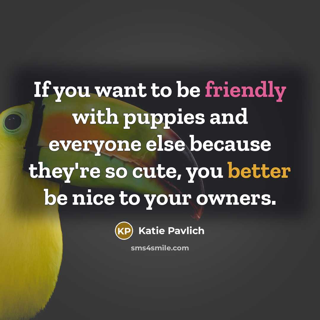 “If you want to be friendly with puppies and everyone else because they're so cute, you better be nice to your owners.” quote by Katie Pavlich