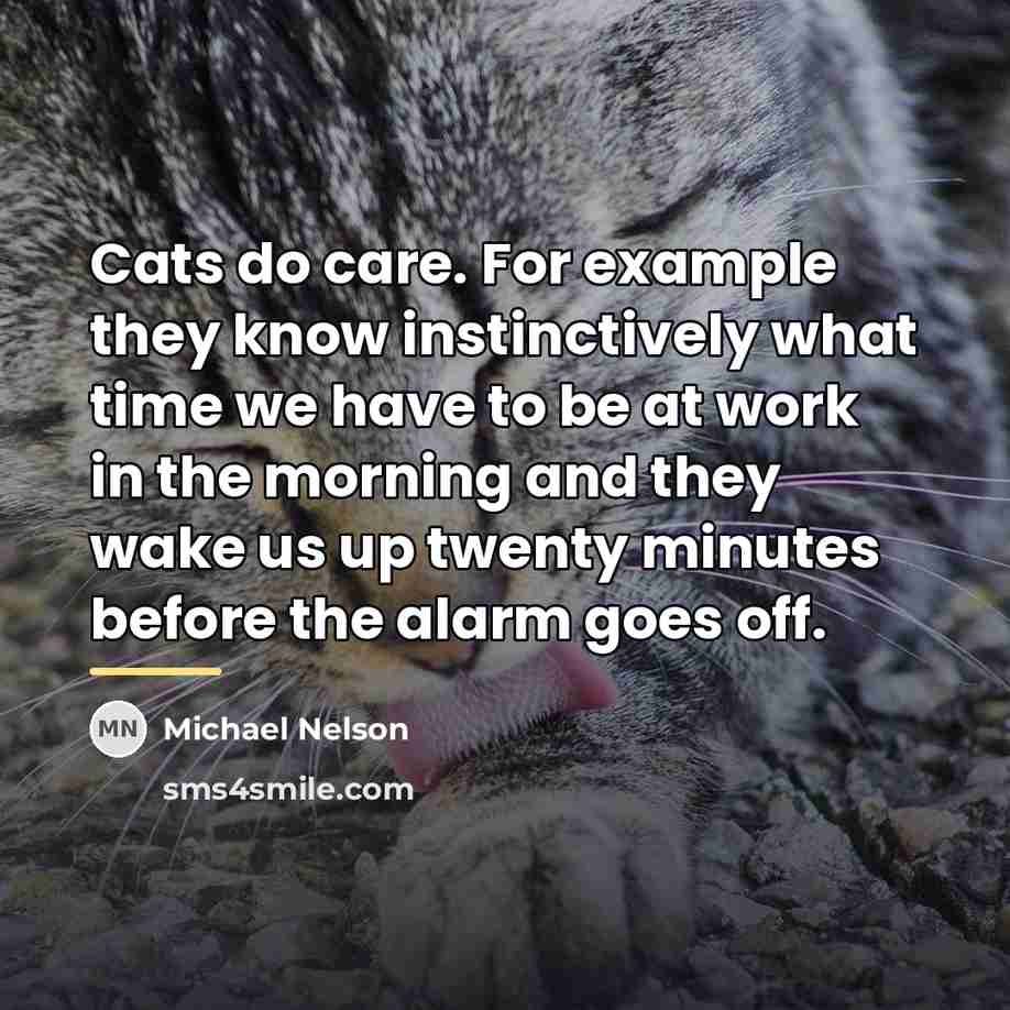 “Cats do care. For example they know instinctively what time…” quote by Anonymous
