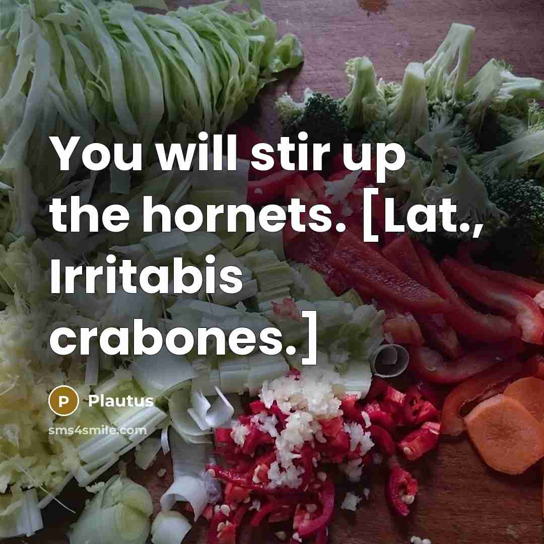 “You will stir up the hornets. [Lat., Irritabis crabones.]…” quote by Plautus