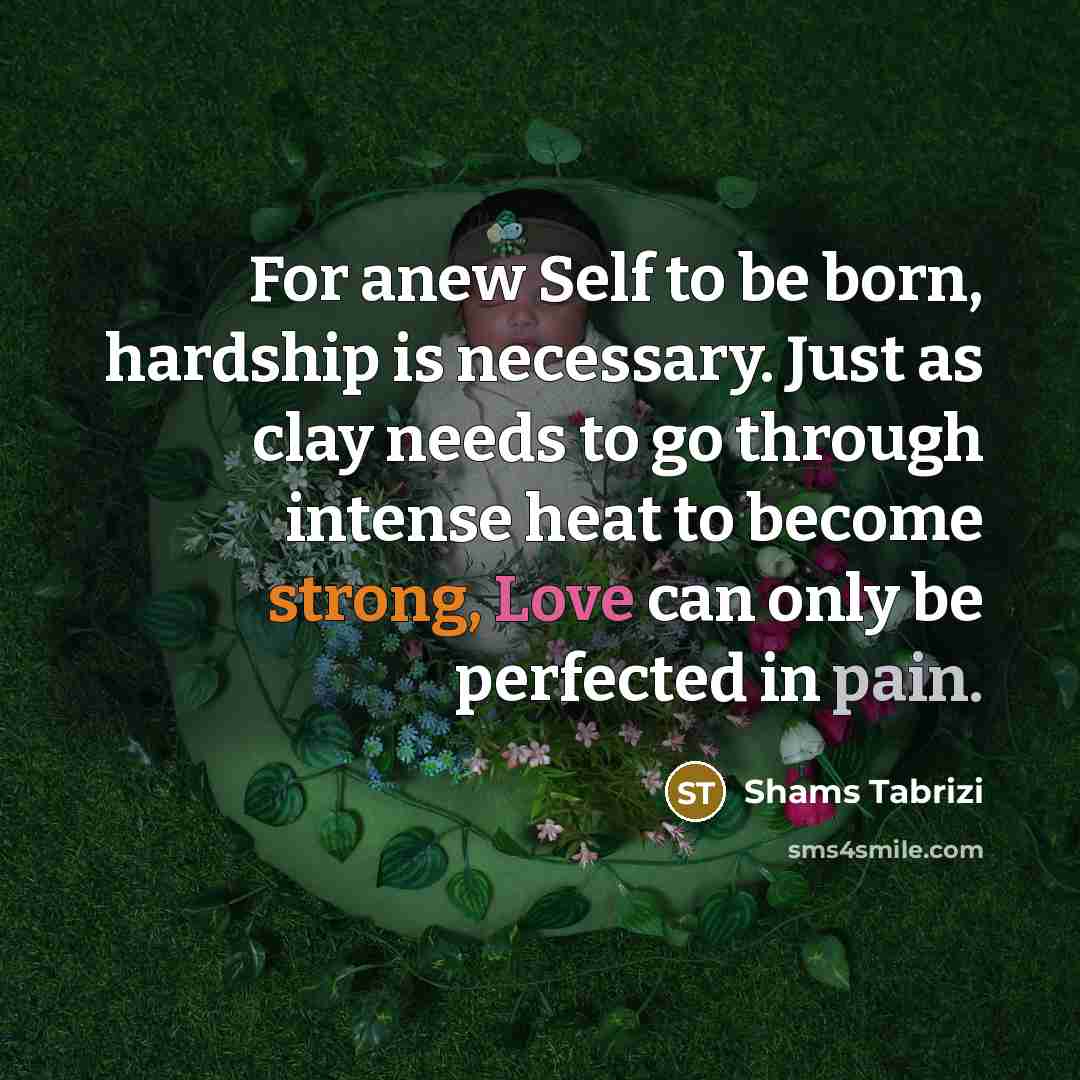 “For anew Self to be born, hardship is necessary. Just…” quote by Shams Tabrizi