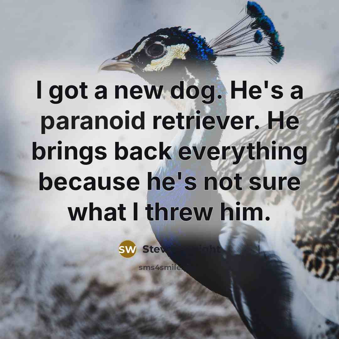 “I got a new dog. He's a paranoid retriever. He brings back everything because he's not sure what I threw him.” quote by Steven Wright