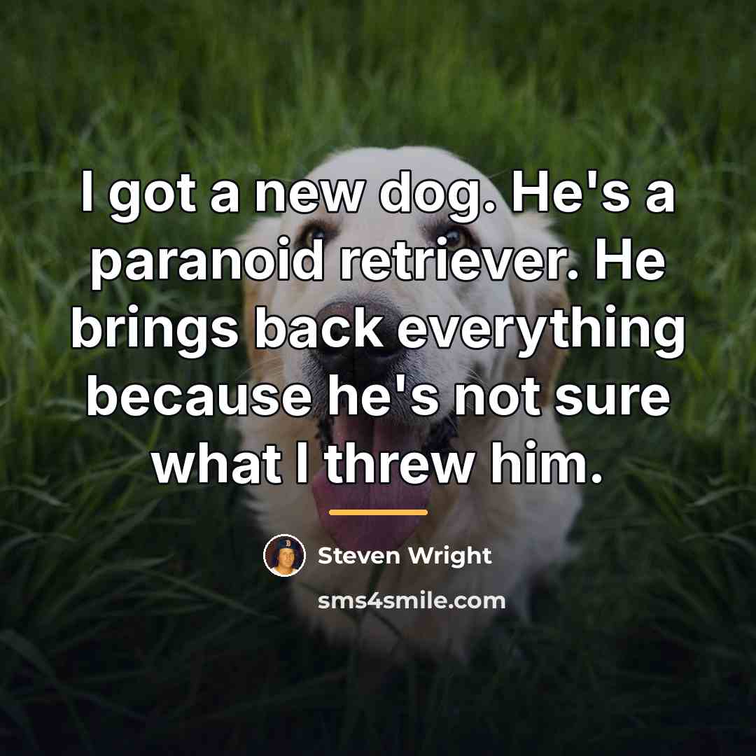 “I got a new dog. He's a paranoid retriever. He…” quote by Steven Wright