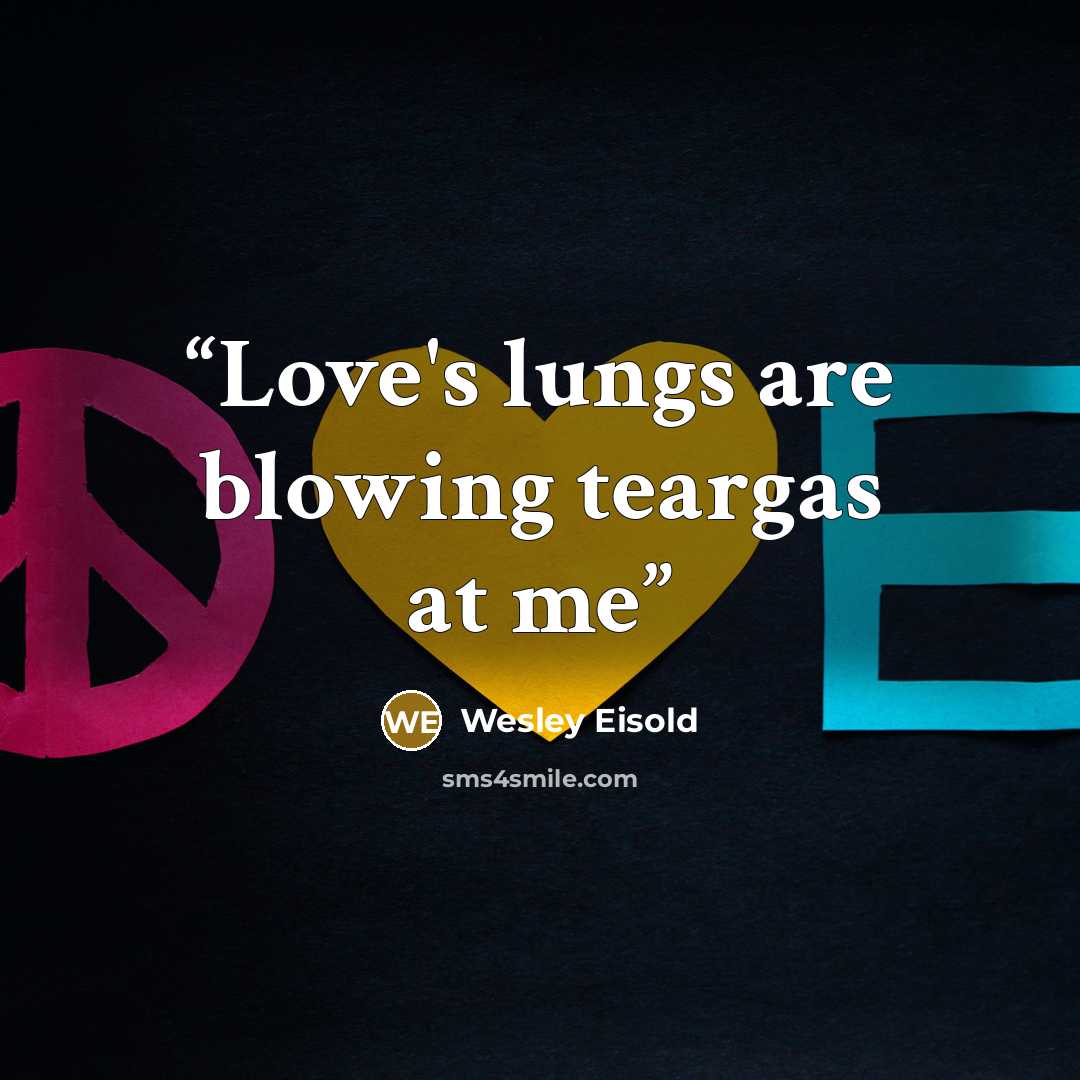 “Love's lungs are blowing teargas at me” quote by Wesley Eisold