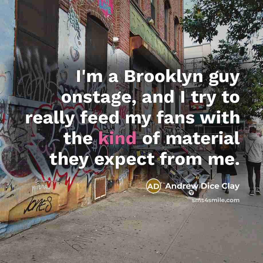 “I'm a Brooklyn guy onstage, and I try to really…” quote by Andrew Dice Clay