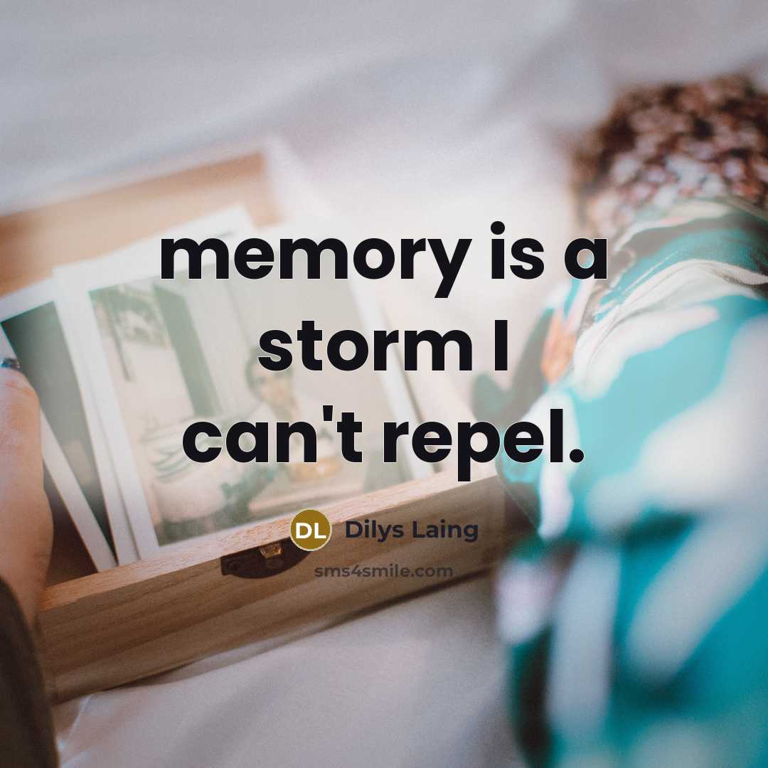 “memory is a storm I can't repel.…” quote by Dilys Laing