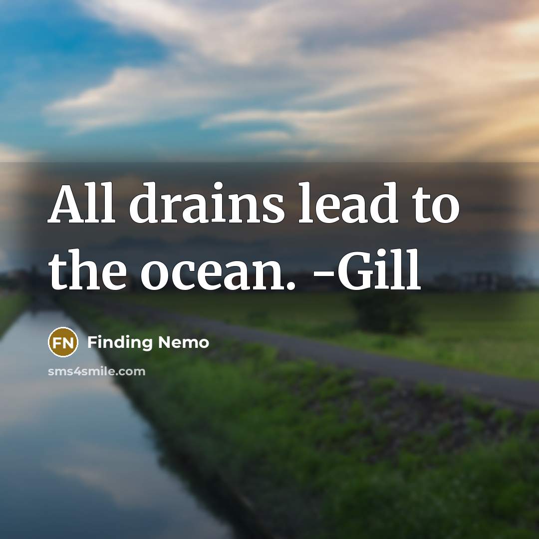 “All drains lead to the ocean. -Gill…” quote by Finding Nemo