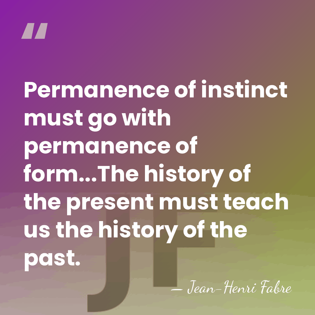Permanence of instinct must go with permanence of form...The history of the&hellip; - Jean-Henri Fabre