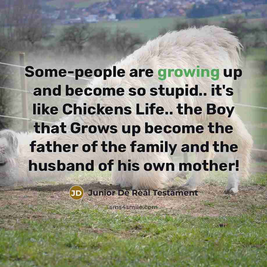 “Some-people are growing up and become so stupid.. it's like…” quote by Junior Dè Rèál Testament