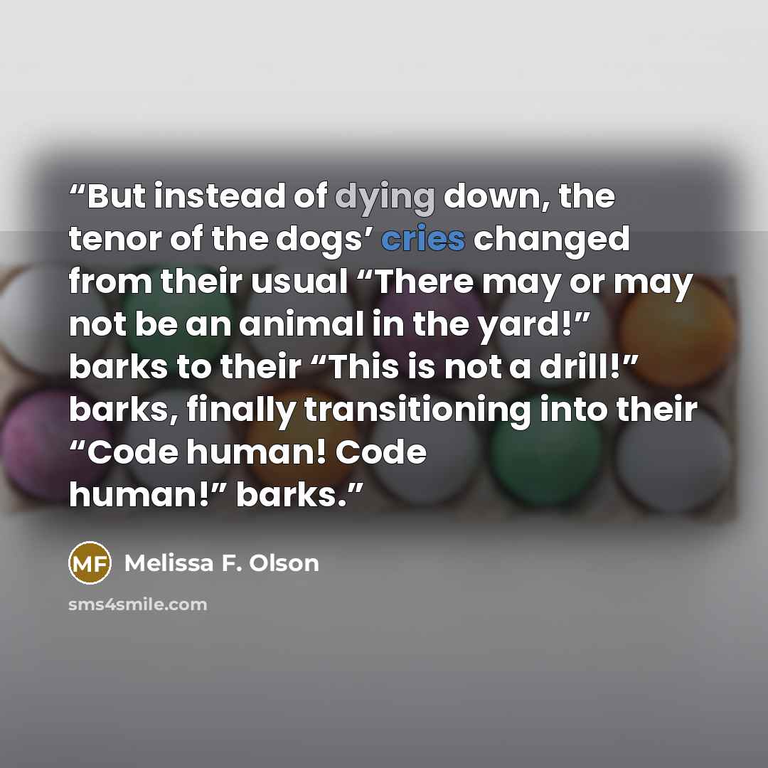 “But instead of dying down, the tenor of the dogs’ cries changed from their usual “There may or may not be an animal in the yard!” barks to their “This is not a drill!” barks, finally transitioning into their “Code human! Code human!” barks.” quote by Melissa F. Olson