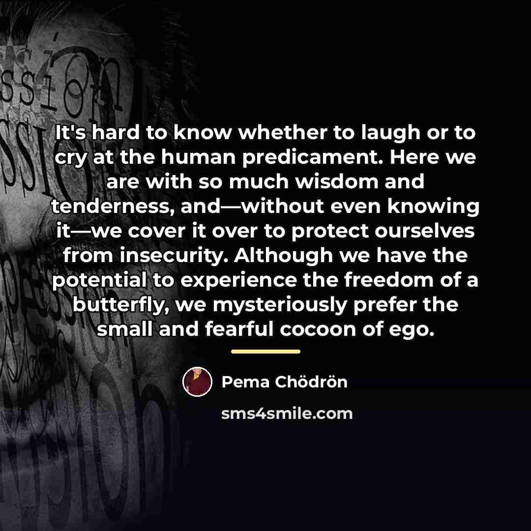 “It's hard to know whether to laugh or to cry…” quote by Pema Chodron