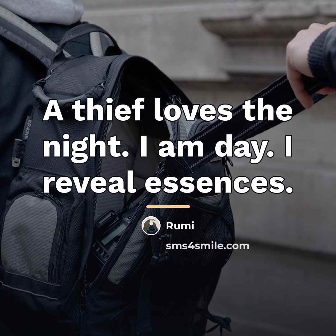 “A thief loves the night. I am day. I reveal…” quote by Rumi