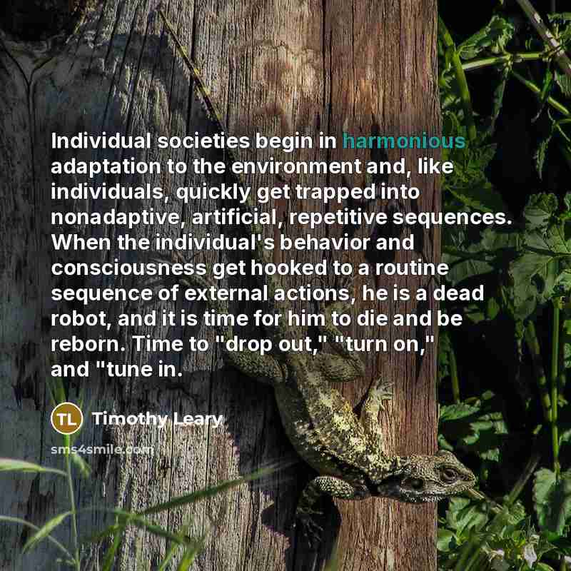 “Individual societies begin in harmonious adaptation to the environment and,…” quote by Timothy Leary